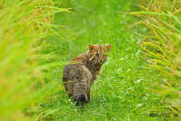 エクセリの取り組み