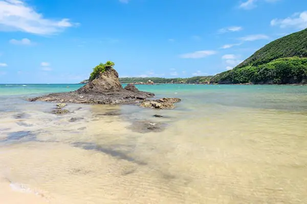 エクセリの取り組み