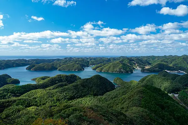 エクセリの取り組み