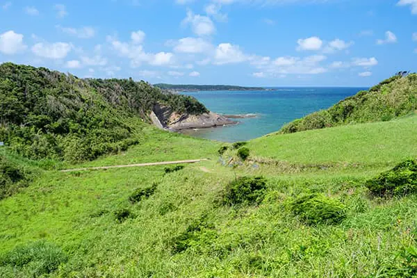 エクセリの取り組み